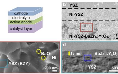 Direct Octane Fuel Cells: A Promising Power for Transportation