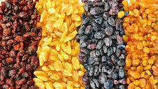 Freeze Drying (lyophilization) Equipment and Process Monitoring