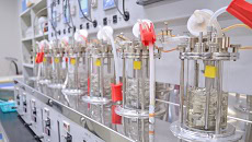 Fermentation Process Monitoring with Off-Gas and Dissolved Gas Analysis