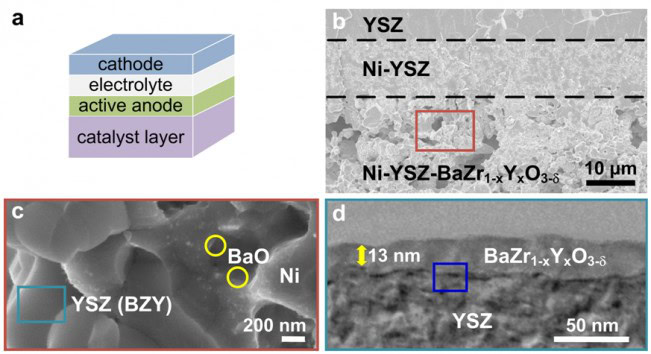 AP0359 Figure 1