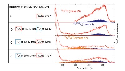 Low-frequency plasma activation of nylon 6