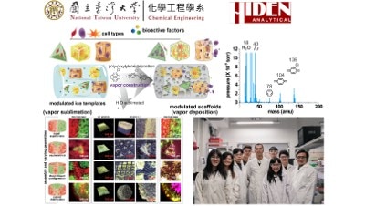 A vapor-phase technology of fabrication and modulation of scaffolding materials