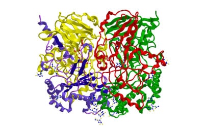 Biocatalysis in Industry: Challenges, Opportunities & More