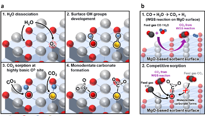 Dynamic CO2 Sorption Studies