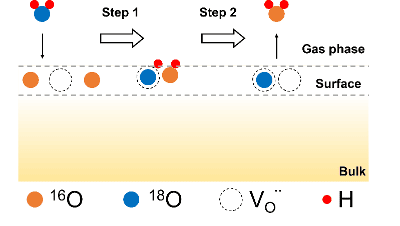Investigation into Oxygen Surface Exchange Reactions of Perovskite Oxides