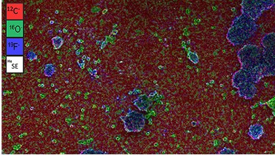 Imaging Mass Spectrometry on the FIB Microscope for Battery Research