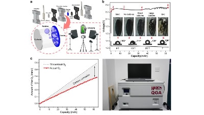 Gas Evolution from Battery Electrodes