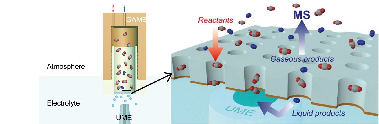 Game electrode. Lefthand side showing hollow structure of electrode leading to efficient collection of product species at the gas/liquid interface.