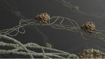 How Dissolved Species Analysis Helps Study Enzyme Activity
