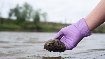 Real-Time Continuous Analysis for Denitrification Studies