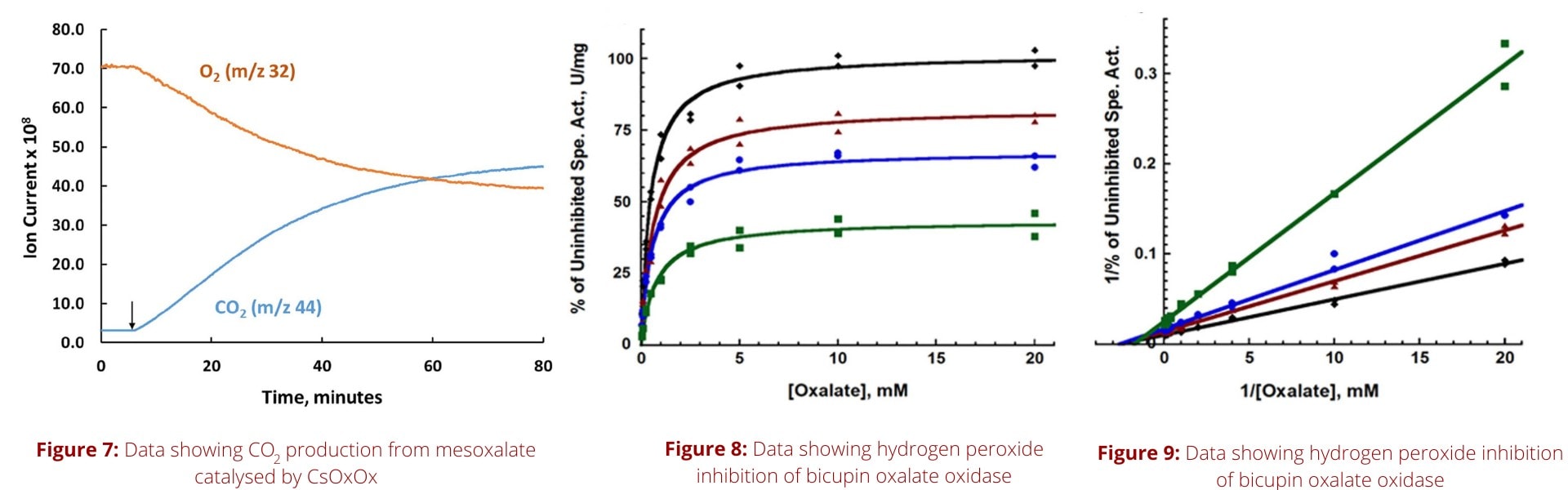 Enzyme Activity Studies Data (1920 × 600px)