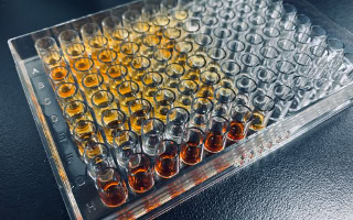 Enzyme activity studies_320x200px
