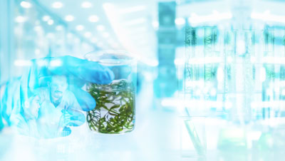 Hiden HPR-40 DSA: Designed for Algae Research