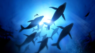 Deeper Insights into Marine Fish Migration Amid Global Warming