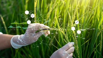 How Mass Spectrometers Can Help Determine Authenticity in Agrifoods