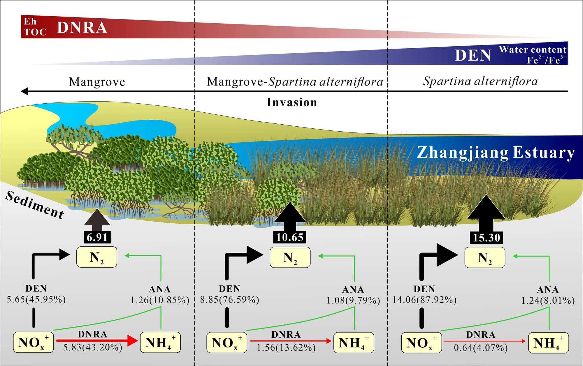 AP-HPR-40-202176_Figure 1.jpg