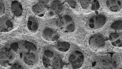Nitrate Reduction Catalyzed by Bimetallic Silver-Copper Macroporous Foams