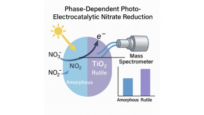 Phase-dependent photo-assisted electrocatalytic conversion of nitrate to ammonia using TiO2: Insights into amorphous and rutile activity