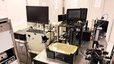 Cold Atmospheric Plasma Seed Treatment Characterised by Advanced Mass Spectrometry
